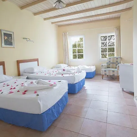 Casa Luna 4*