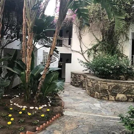 Casa Luna