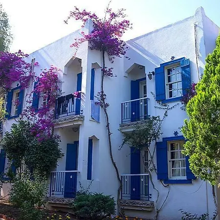Casa Luna 4*
